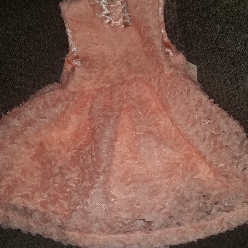 Nwt baby girls Cat & Jack dress